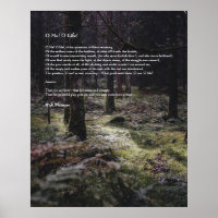 Eu! Oh Life! Walt Whitman Poem Wooded Path 3