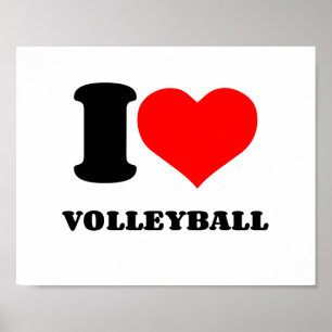POSTER EU OUVI VOLLEYBALL
