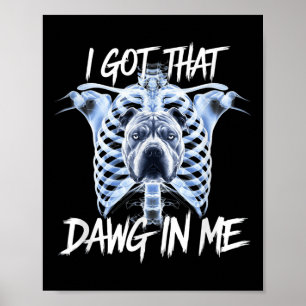 Poster Eu Peguei Esse Dawg Em Mim Xray Pitbull Meme Irôni