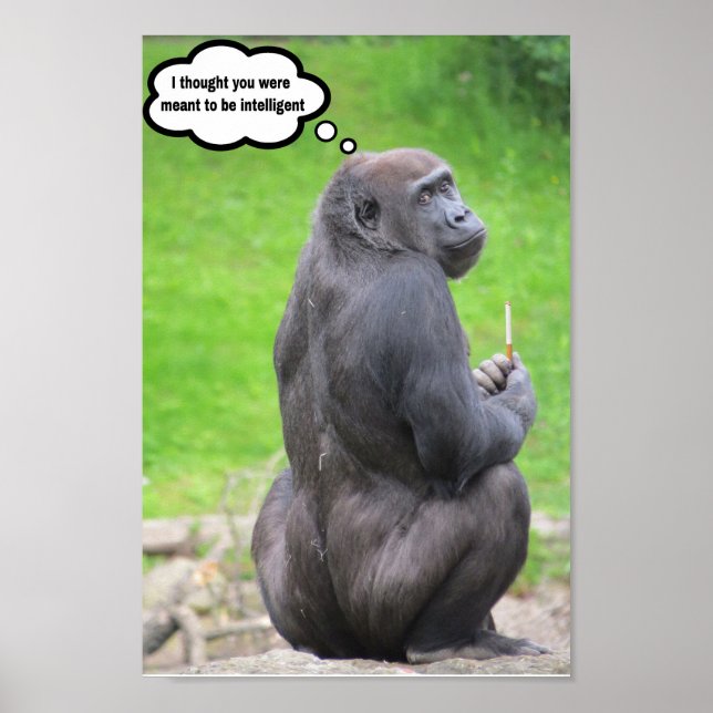 Poster Eu pensei que você era para ser inteligente. (Frente)