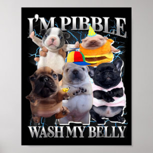 Poster Eu Posso Lavar Minha Barriga Cachorro Engraçado Li