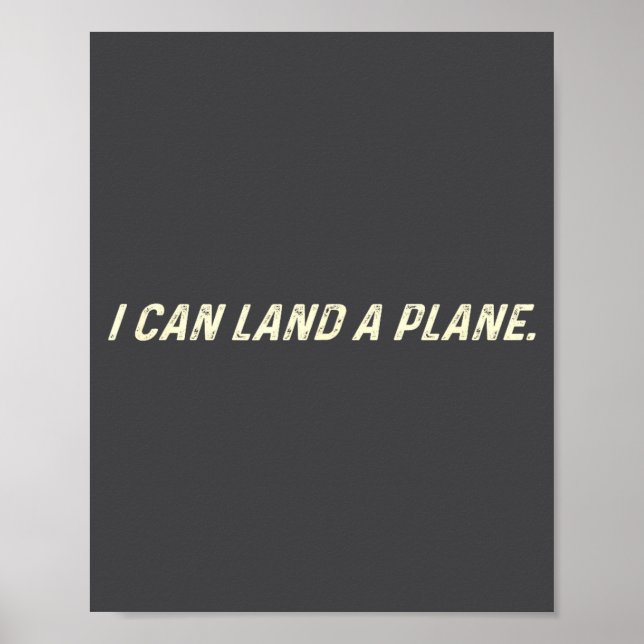 Poster Eu Posso Pousar Um Avião (Frente)