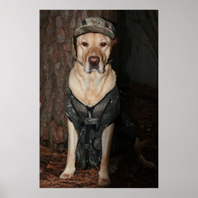 Póster Eu Preferencialmente caçando (Frente)