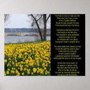 POSTER EU QUERIA SOLITÁRIO COMO NUVEM