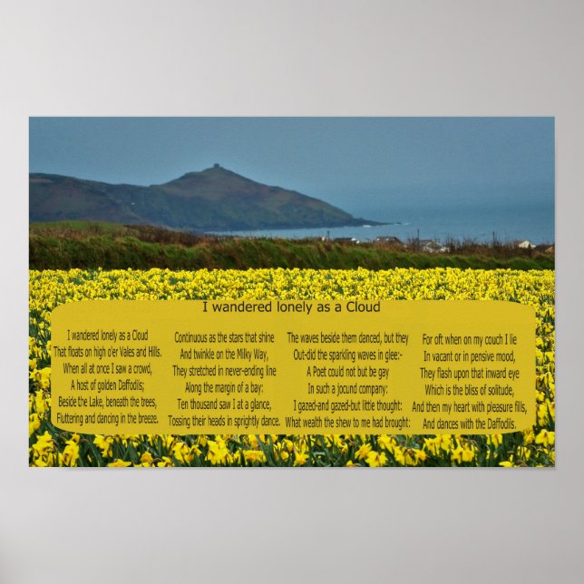 POSTER EU QUERIA SOLITÁRIO COMO NUVEM (Frente)