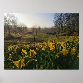 Poster Eu queria solitário como nuvem de William Wordswor