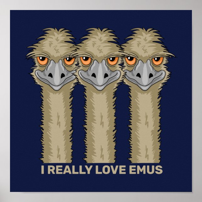 Poster Eu Realmente Amo Emus (Frente)