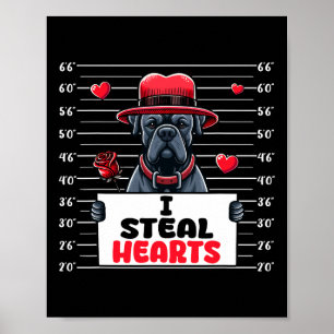 Poster Eu Roubo Corações Fofos Dia dos Namorados Cane Cor