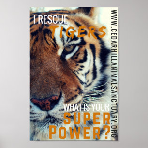 Póster Eu salvar o poder super dos tigres
