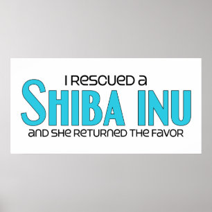 Poster Eu salvei um Shiba Inu (o cão fêmea)