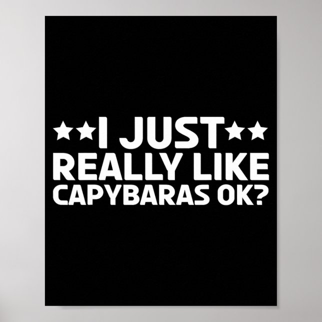 Poster Eu Só Realmente Gosto de Capybaras Ok Capy Roedor  (Frente)