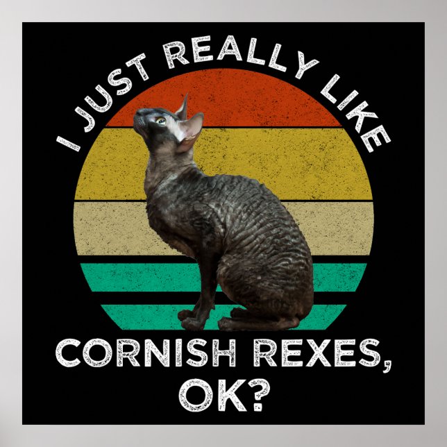 Poster Eu Só Realmente Gosto de Cornish Rexes, OK? (Frente)