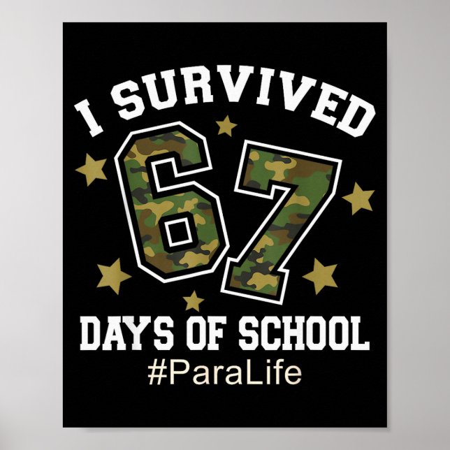 Poster Eu Sobrevivi 67 Dias De Camuflagem Escolar 6 7 Mem (Frente)