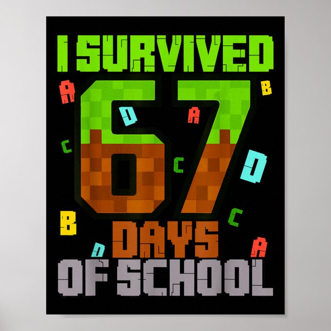 Poster Eu Sobrevivi 67 Dias De Diversão Na Escola Meme Se (Frente)