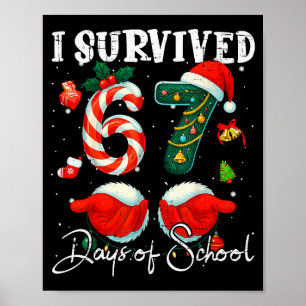 Poster Eu Sobrevivi 67 Dias De Natal Do Colégio De Piruli