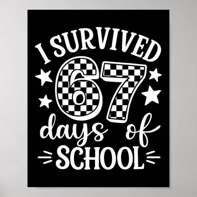 Poster Eu Sobrevivi 67 Sessenta e Sete Dias De Professore (Frente)