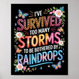 Poster Eu Sobrevivi a Muitas Tempestades, Motivacional In