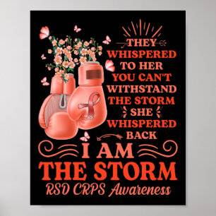 Poster Eu Sou A Tempestade Rsd Crps Consciência Boxando L