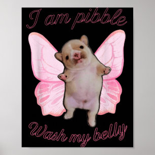 Poster Eu Sou Bble Lavar Meu Bble Barriga Meme Cachorro E