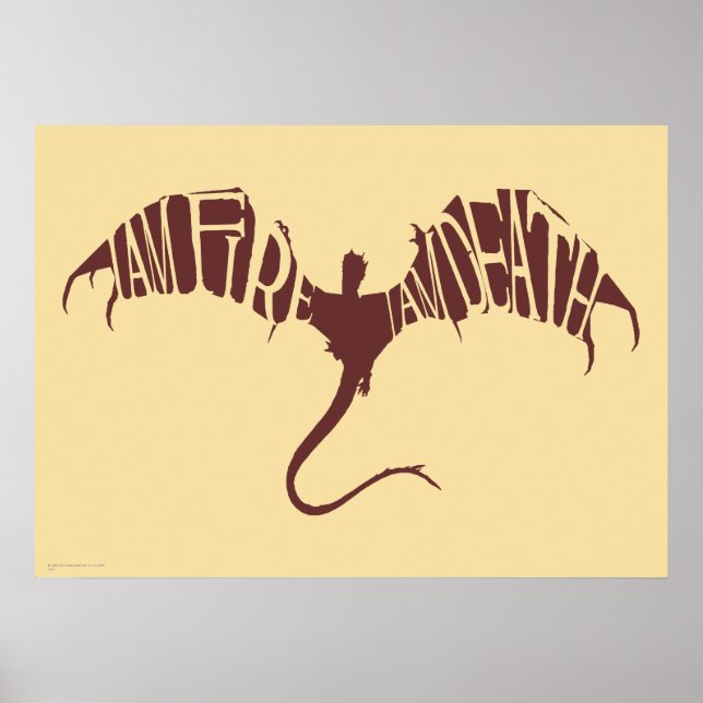 Poster Eu Sou O Fogo Eu Sou A Morte - Gráfico (Frente)