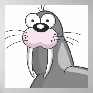 Póster Eu sou o Walrus