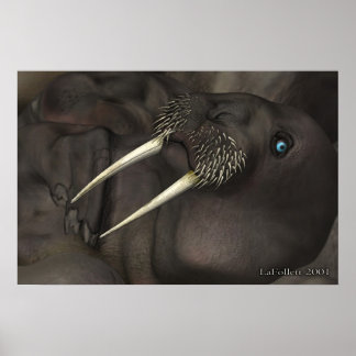 Poster Eu Sou O Walrus