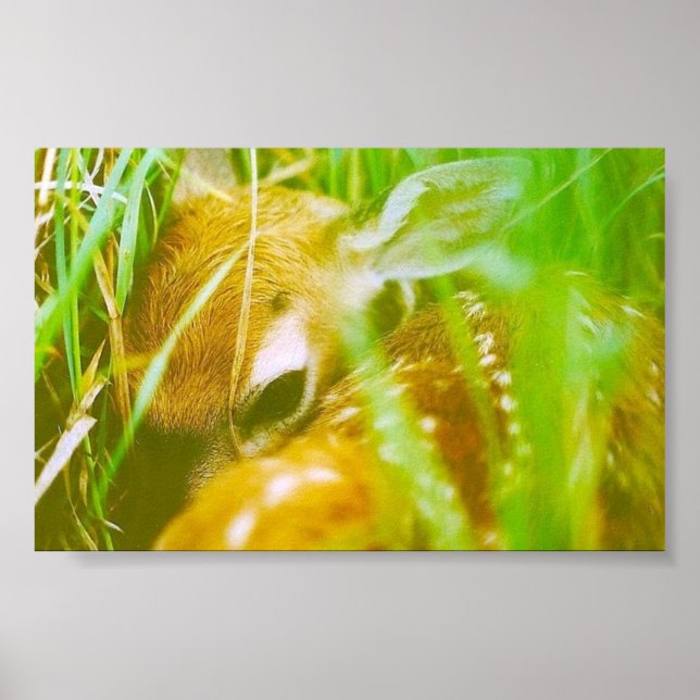 Póster Eu sou tímido (Frente)