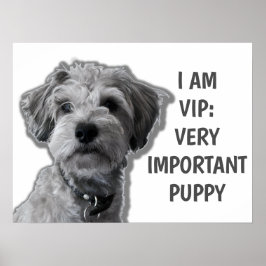 Poster Eu sou um VIP: Cachorro giro muito importante