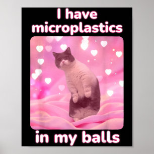 Poster Eu Tenho Microplásticos No Meu Meme Dank Gato Rosa