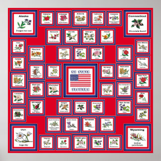 PÓSTER EUA 50 FLORES ESTATAIS RED/560