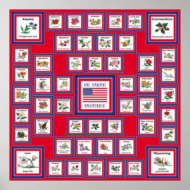 PÓSTER EUA 50 FLORES ESTATAIS RED/560 (Frente)