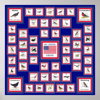 PÓSTER EUA 50 STATE BIRDS BLUE/552