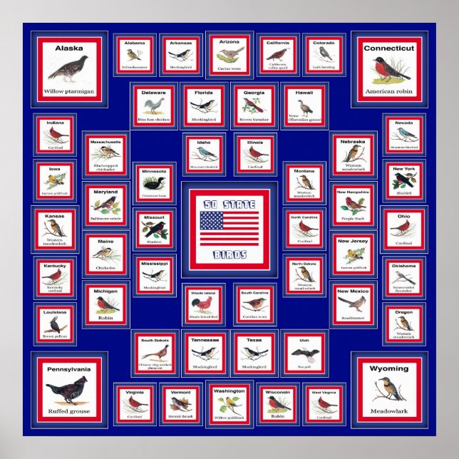 PÓSTER EUA 50 STATE BIRDS BLUE/552 (Frente)