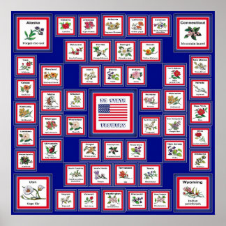 PÓSTER EUA 50 STATE FLOWERS BLUE/558