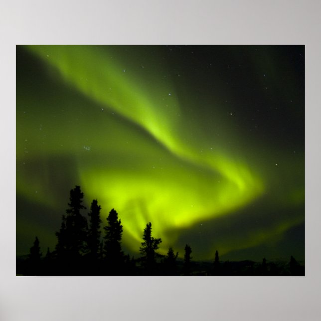 Póster EUA, Alasca, Chena Hot Primaveras. Aurora Borealis (Frente)