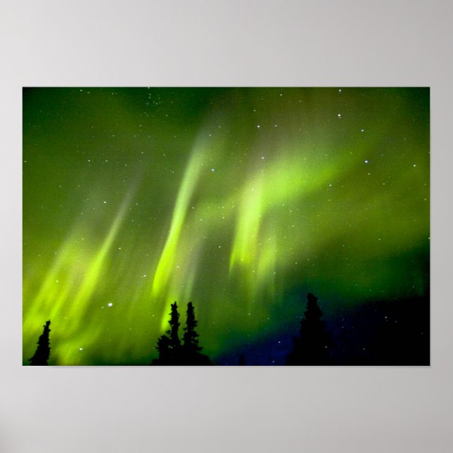 Póster EUA, Alasca, Chena Hot Springs. Aurora 3 (Frente)
