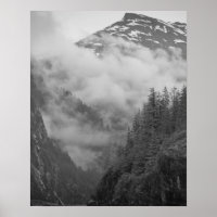 EUA, Alasca, Juneau, fiorros de cobrir da Floresta