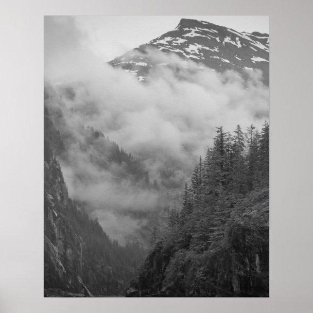 Póster EUA, Alasca, Juneau, fiorros de cobrir da Floresta (Frente)