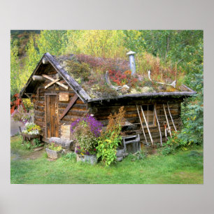 Póster EUA, Alasca, Parque Nacional Denali, Kantishna.