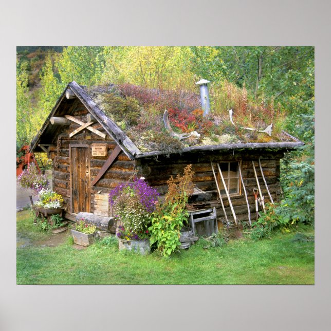 Póster EUA, Alasca, Parque Nacional Denali, Kantishna. (Frente)