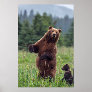 Póster EUA, Alaska do sudeste, urso de Brown e filhote
