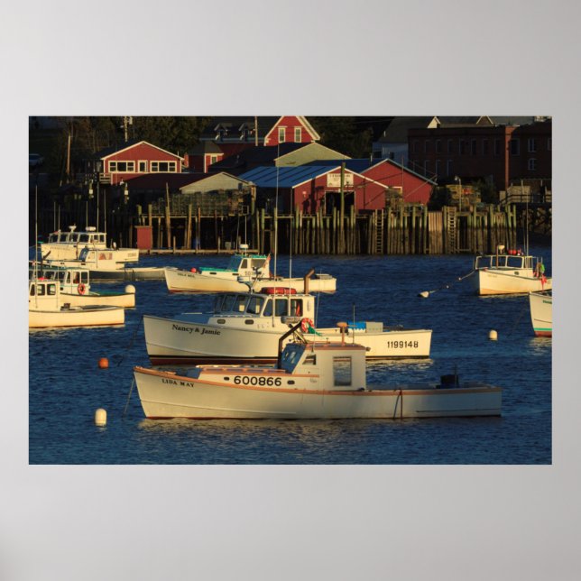 Poster EUA, América do Norte, Maine, Bernard, Pesca (Frente)