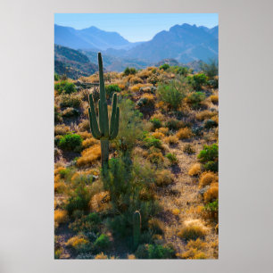 Poster EUA, Arizona. Exibição de Deserto