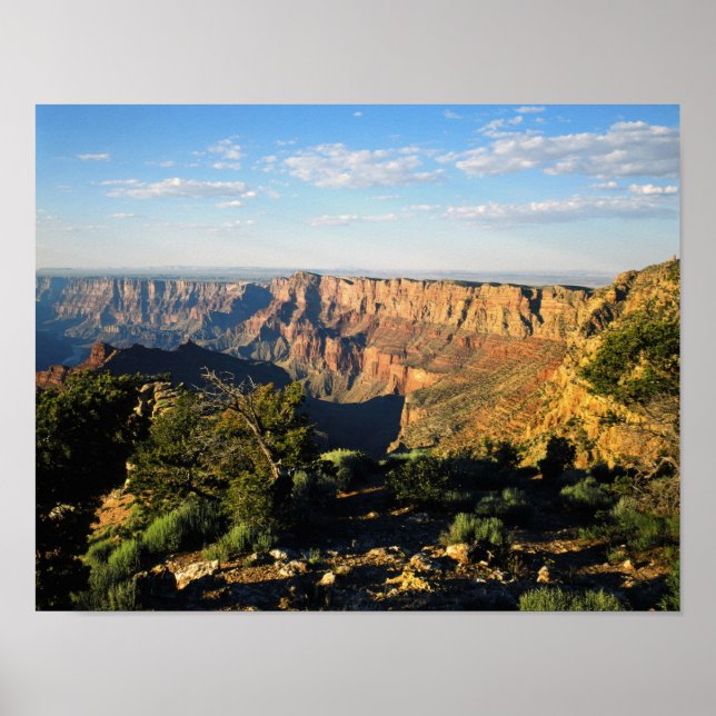 Póster EUA, Arizona, Grand Canyon National Park, View (Frente)