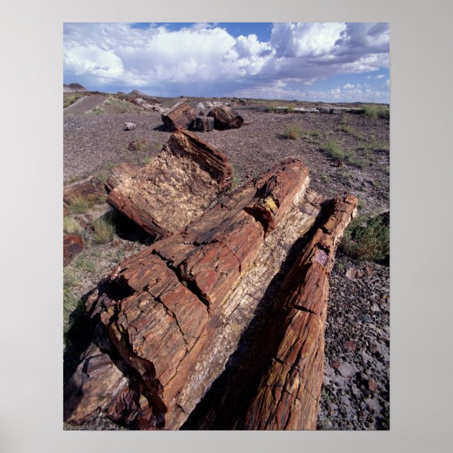 Poster EUA, Arizona, Petrified Forest National Park, 2 (Frente)