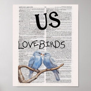POSTER EUA — AVES