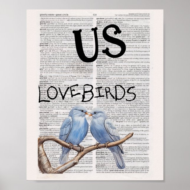 POSTER EUA — AVES (Frente)