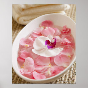 Poster EUA, Califórnia, Fairfax, Bowl de pétalas