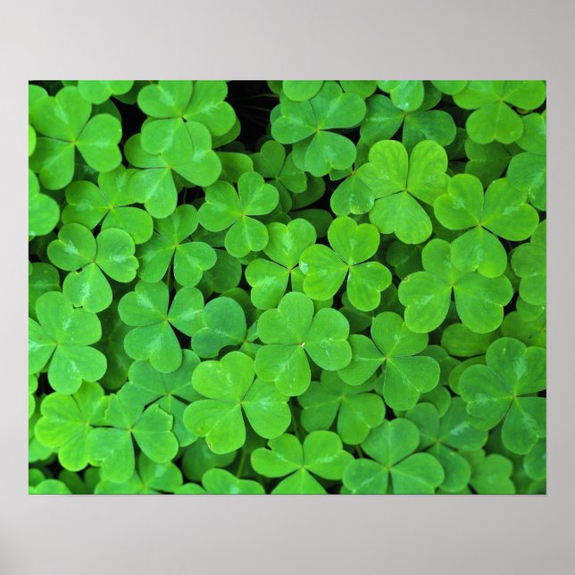 Póster EUA, Califórnia, Jedediah Smith Rewood SP. (Frente)