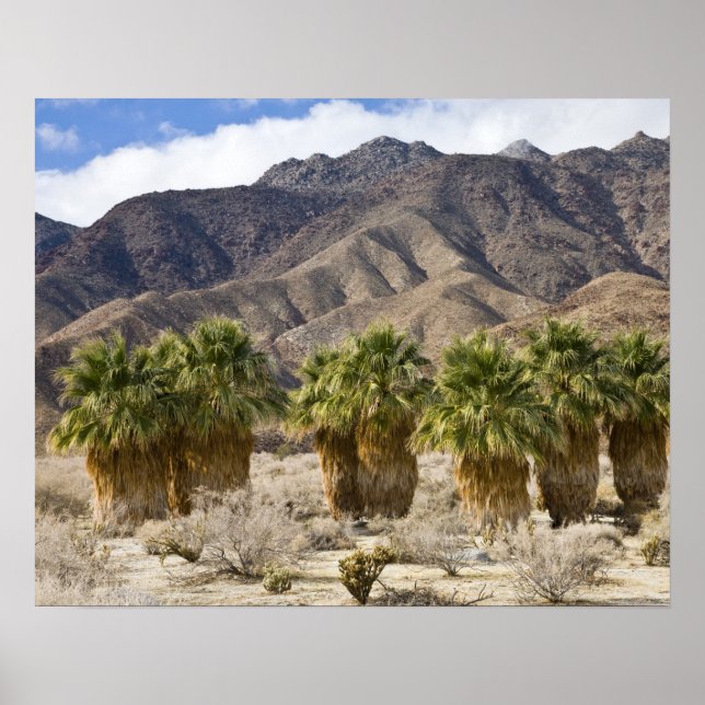 Póster EUA, Califórnia, Parque Estadual do Deserto de Anz (Frente)